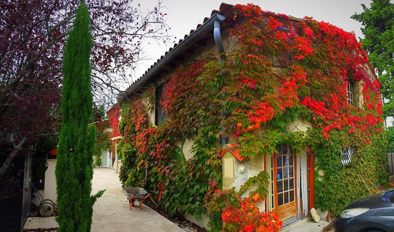 Le Mas Des Abeilles - Chambres D'Hotes En Drome Provencale La Bégude-de-Mazenc Kültér fotó